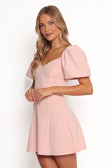 Fletcher Mini Dress - Pink