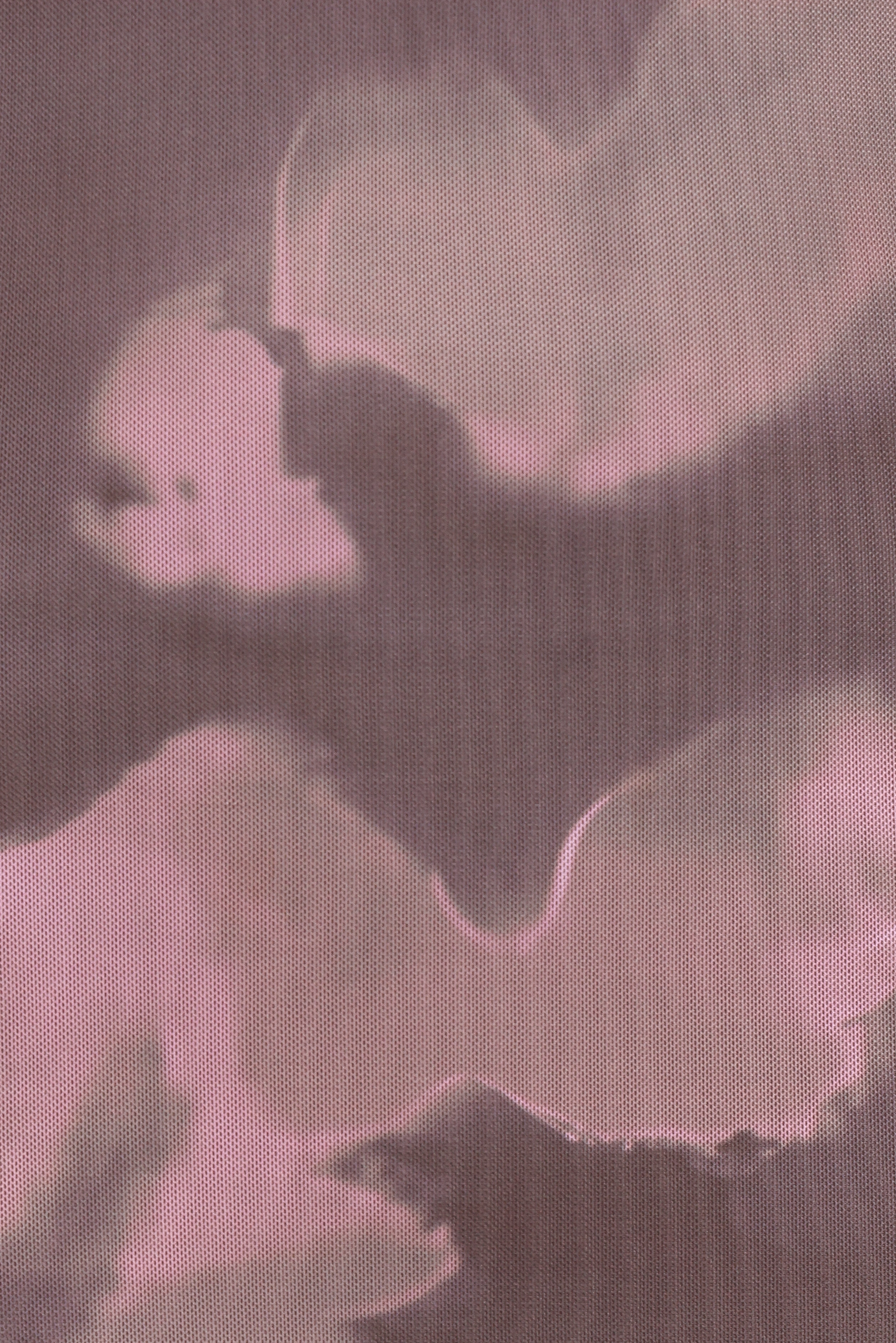 Pandora Long Sleeve Maxi Dress - Pink/Brown Print