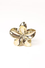 Tiarne Hair Clip - Gold